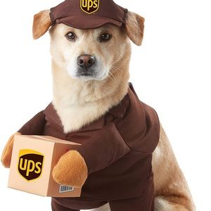 California Costumes UPS Dog Costume X-Small